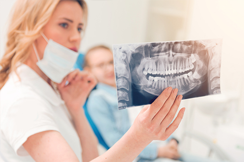 The Haddon Dentist
