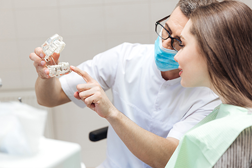 The Haddon Dentist