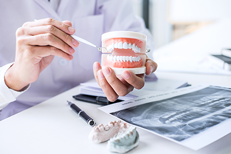 The image shows two photographs side by side  on the left, a person in a white coat is holding up a tooth model to demonstrate dental work  on the right, the same individual is examining a medical X-ray with various tools and equipment around them.