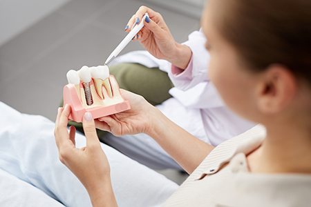 A person holds a model of human teeth while standing next to a dental professional in a clinical setting.